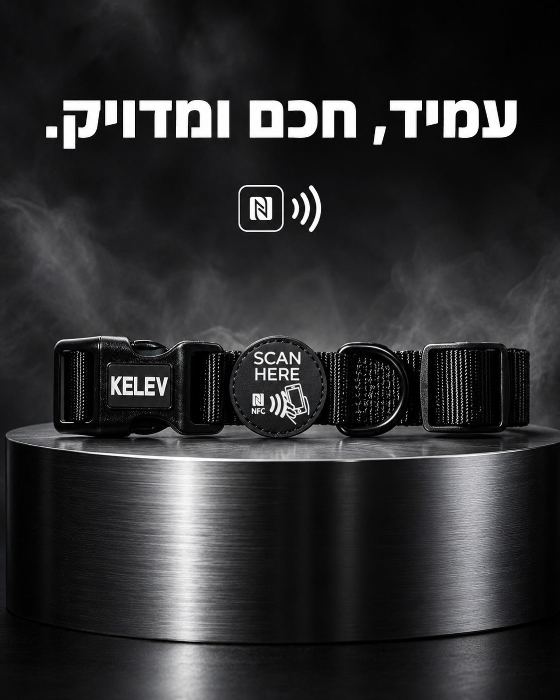 תג זיהוי לכלב: סוגי תגים, טכנולוגיות זיהוי וקולרים חכמים