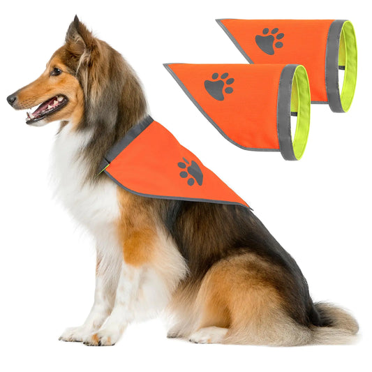 Dog Bandana Hi-Visibility Reflective 2-Pack