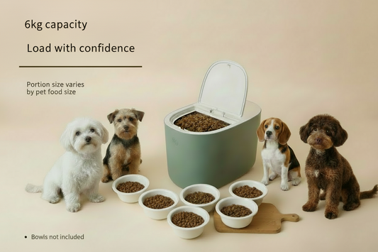 Airtight Pet Food Storage Container for Dogs & Cats