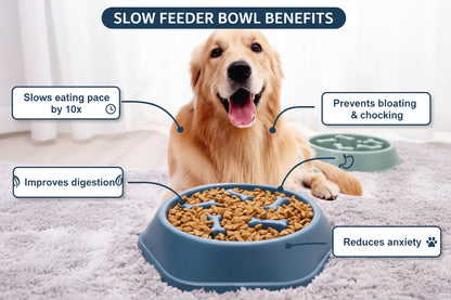 Slow Feeder Pet Bowl