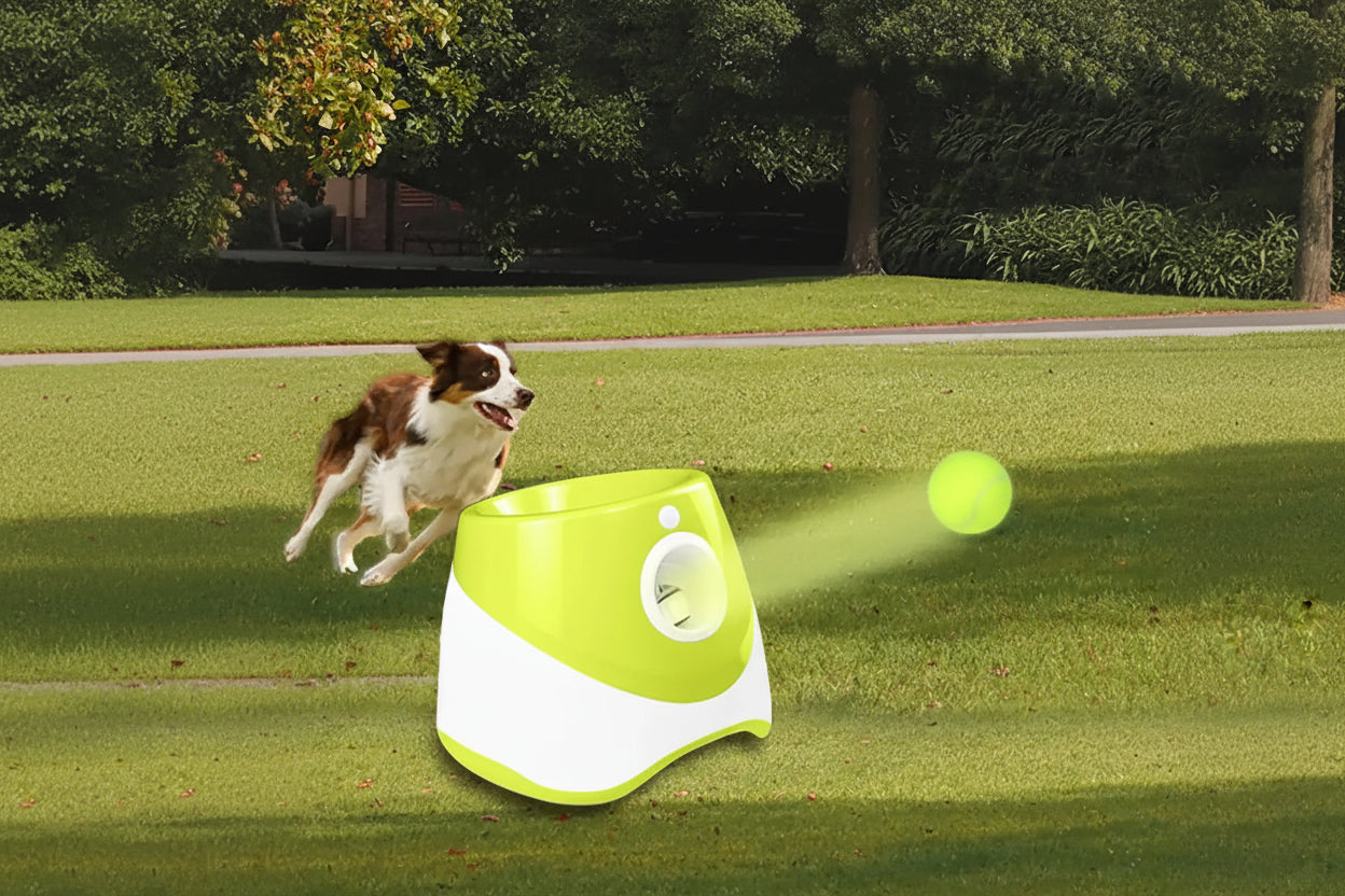 Automatic Dog Tennis Ball Launcher