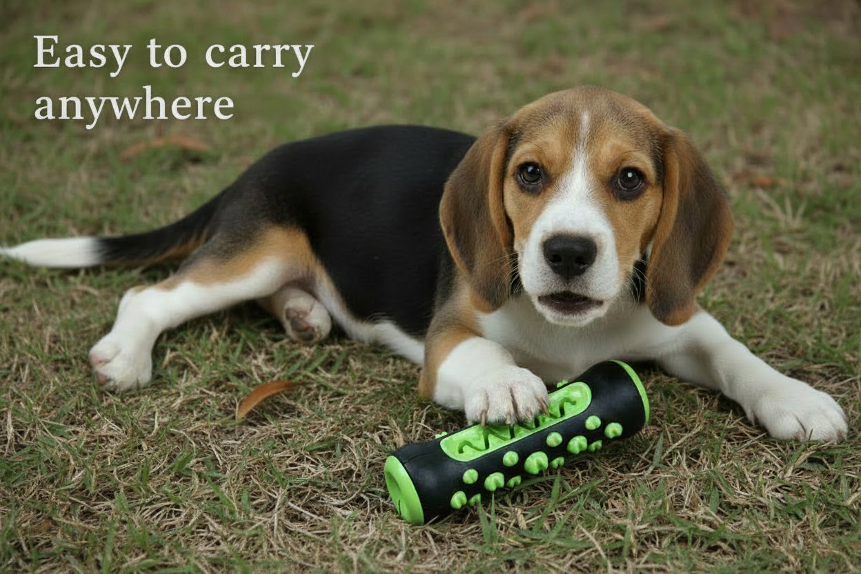 ChewSmart Tooth-Care Toy