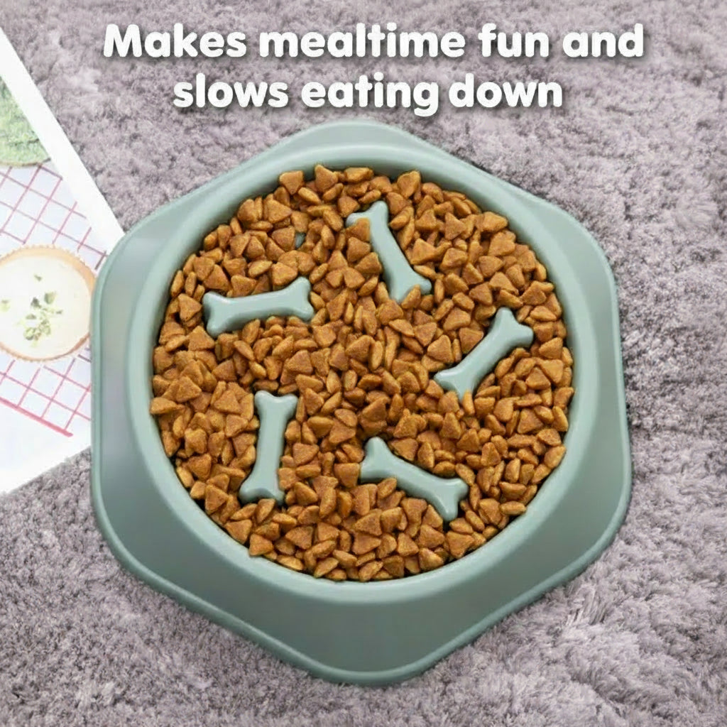 Slow Feeder Pet Bowl