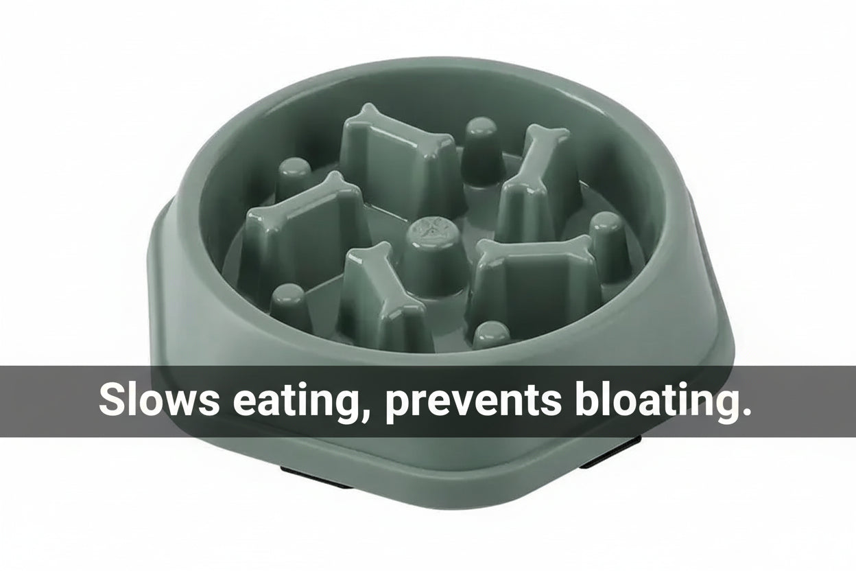 Slow Feeder Pet Bowl