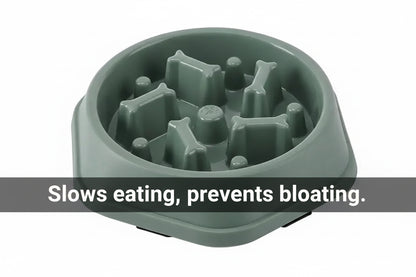 Slow Feeder Pet Bowl