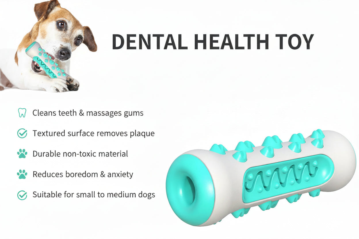 ChewSmart Tooth-Care Toy